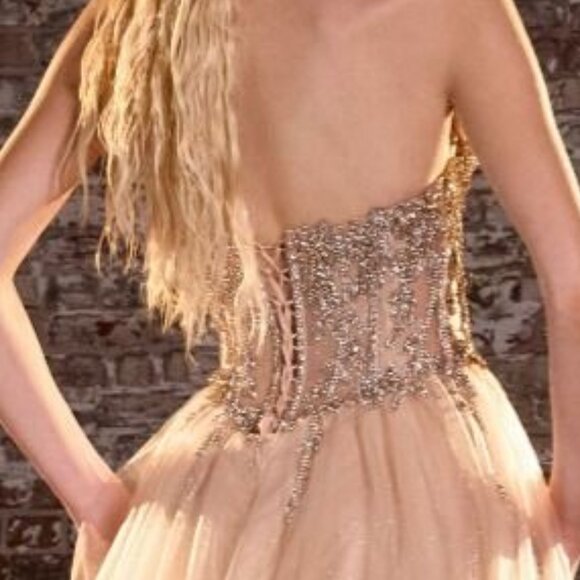 New Gold Strapless A-Line Tulle Beaded Dress w/ Lace Up Back & V-Neck CD721 - Picture 8 of 9